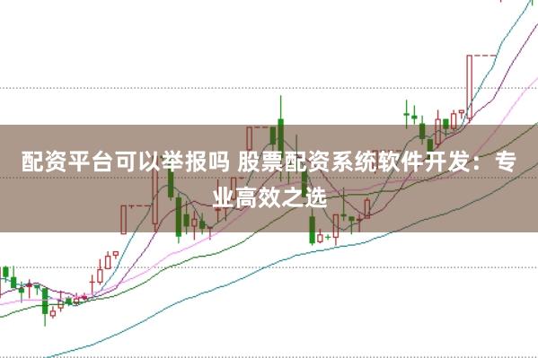 配资平台可以举报吗 股票配资系统软件开发：专业高效之选
