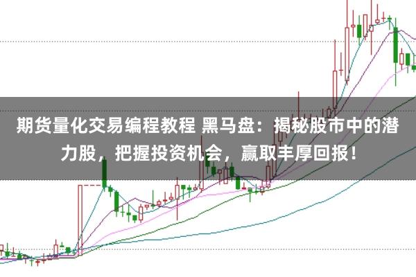期货量化交易编程教程 黑马盘：揭秘股市中的潜力股，把握投资机会，赢取丰厚回报！